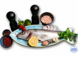 Fresh Haddock fish Melanogrammus aeglefinus