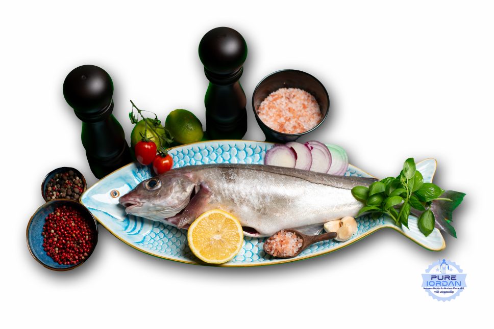Fresh Haddock fish Melanogrammus aeglefinus