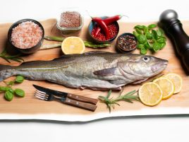Fresh Atlantic cod whole fish from North Sea – Gadus morhua