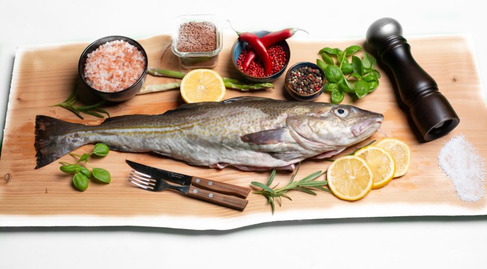 Fresh Atlantic cod whole fish from North Sea – Gadus morhua