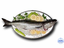 Cod negru (Saithe / Morksej) întreg – Pure Iordan