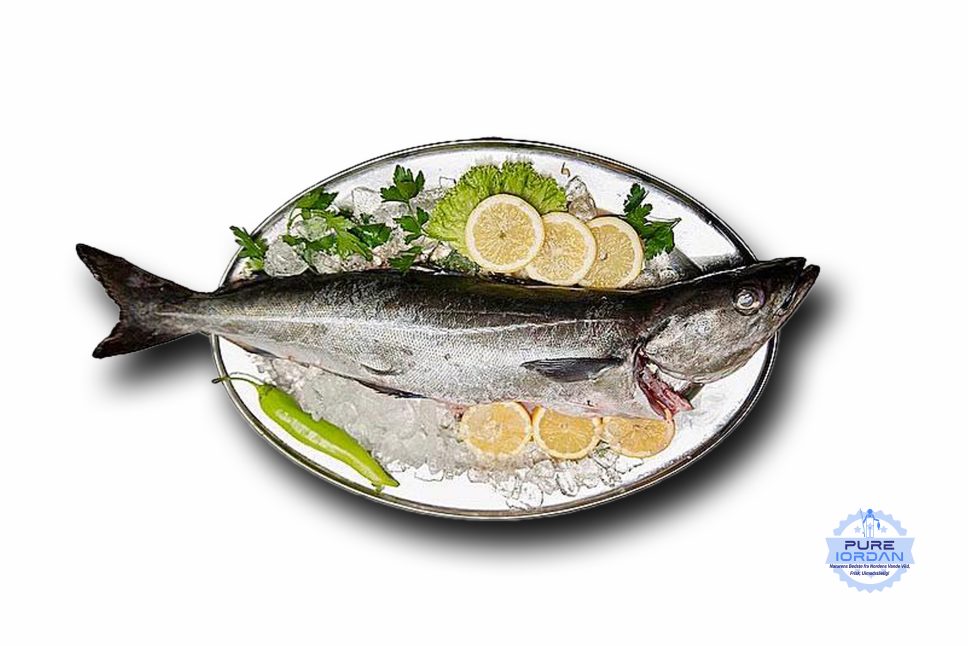 Cod negru (Saithe / Morksej) întreg – Pure Iordan