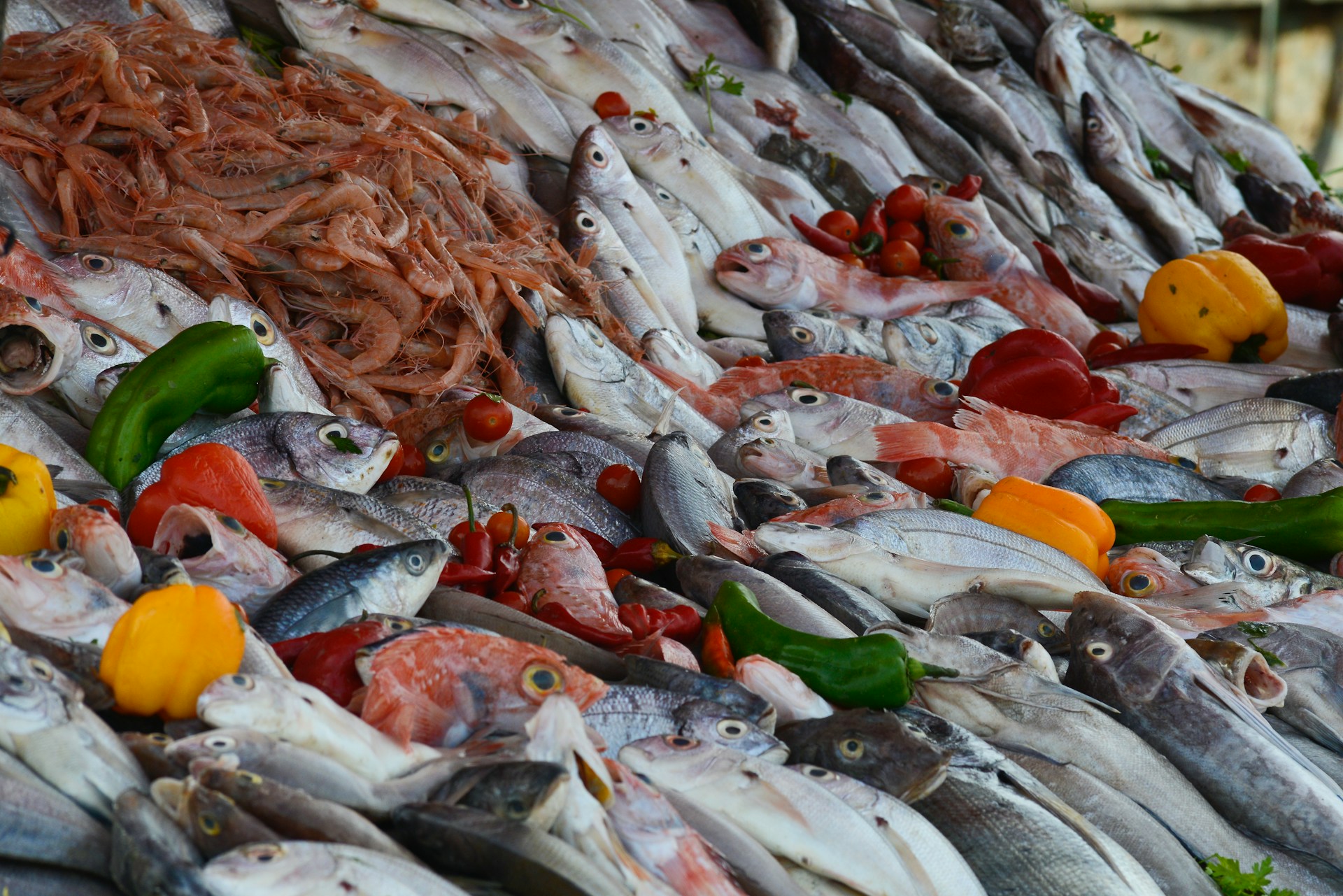 Pește și fructe de mare – imagine din galeria Pure Iordan