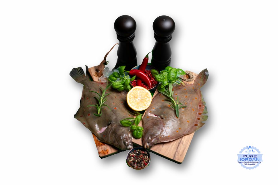 Fresh plaice from the North Sea