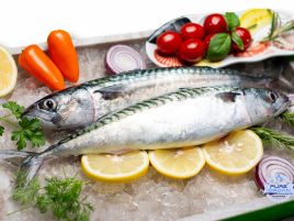 Fresh mackerel from the North Sea FAO 27