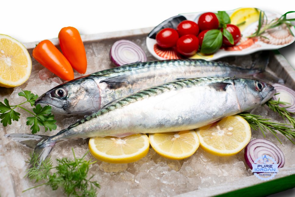 Fresh mackerel from the North Sea FAO 27